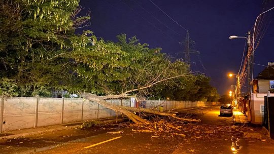 Galați: Copaci doborâți de furtună