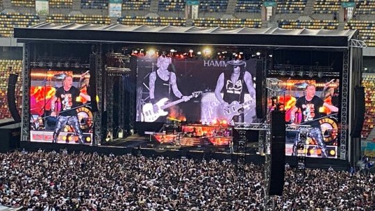Cetățean bulgar, prins cu o armă artizanală la concertul Guns N' Roses de la București