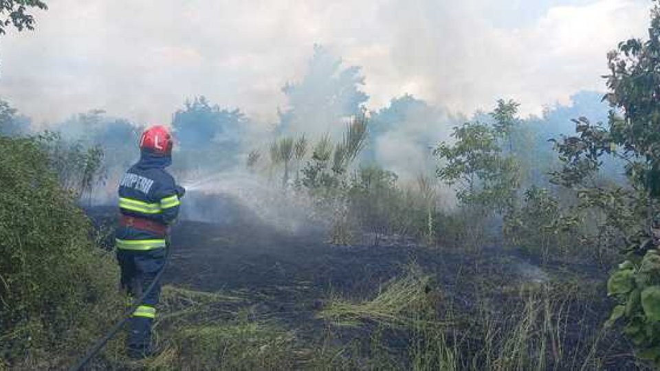 Incendii în judeţul Vrancea