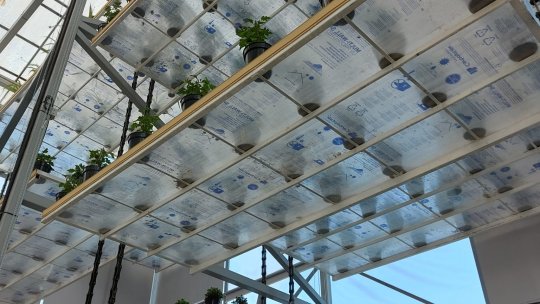 La Statiunea de Cercetare-Dezvoltare pentru Legumicultură de la Buzău a fost inaugurată o seră verticală