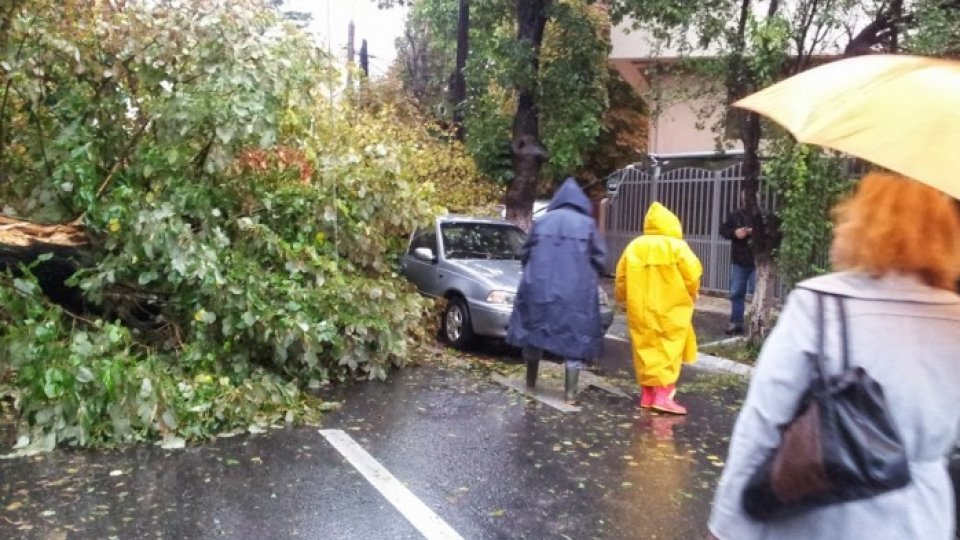 Vijelie la Oradea