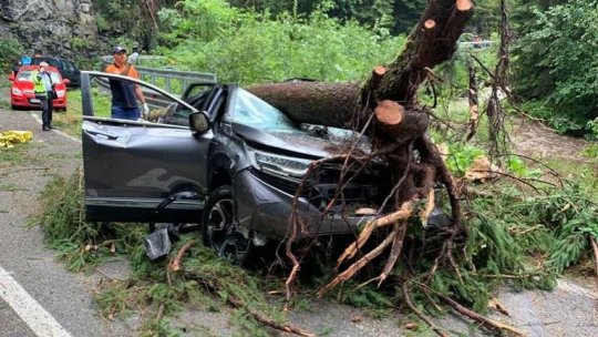 O femeie a murit in județul Alba, după ce peste mașina în care se afla s-a prăbușit un copac