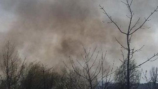 Un incendiu de vegetație afectează vizibilitatea pe DN 4