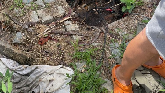 Firmă din satul Vadu, comuna Corbu, amendată pentru deversarea apelor neepurate pe terenuri din Rezervaţia Biosferei Delta Dunării