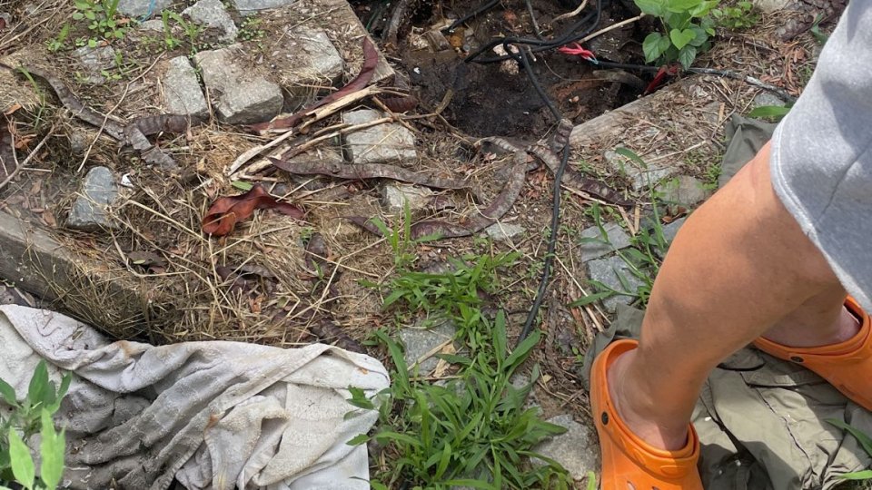 Firmă din satul Vadu, comuna Corbu, amendată pentru deversarea apelor neepurate pe terenuri din Rezervaţia Biosferei Delta Dunării