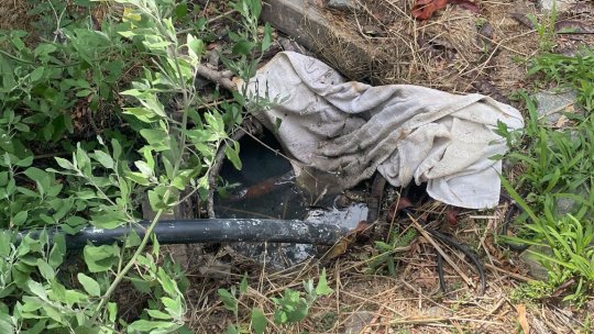 Garda Națională de Mediu - Acțiuni ample de inspecție și control pe litoral