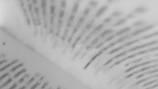 Bucureşti: Începe a 13-a ediţie a Festivalului Internaţional de Poezie