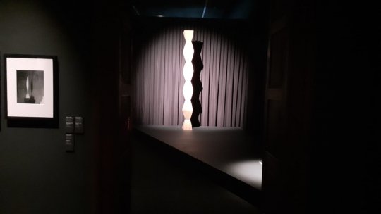 După mai bine de cinci decenii, capodopere ale sculptorului Constantin Brâncuşi pot fi admirate în România