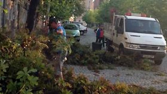 Bucureşti: bărbat transportat la spital, după ce un copac a căzut peste el, pe Bulevardul Camil Ressu