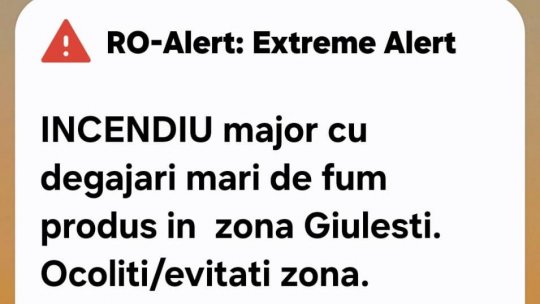Incendiu în zona de triaj dintre Gara Basarab şi Podul Grant din București