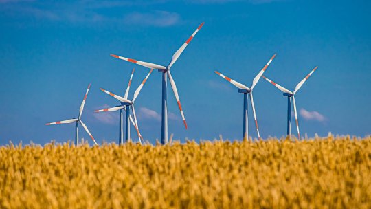 Transelectrica: Producţie record de energie eoliană