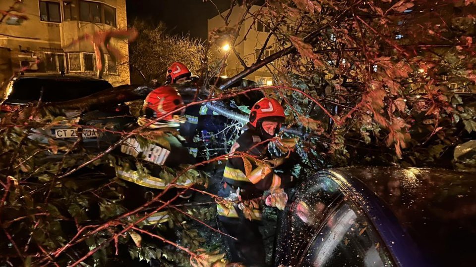 București: 21 de maşini au fost avariate de copacii căzuţi în urma ninsorii abundente