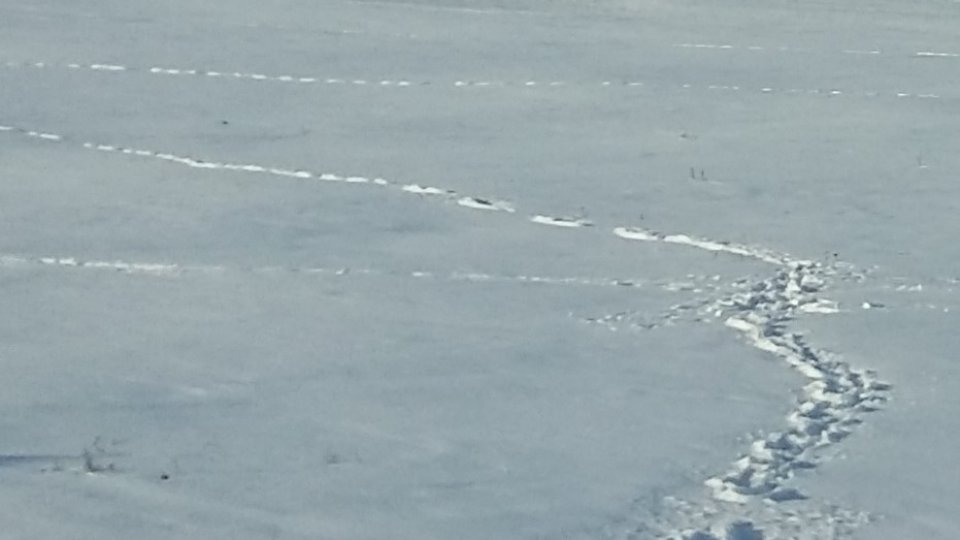 Circulaţie rutieră închisă pe DN29, între Răchiţi şi Săveni