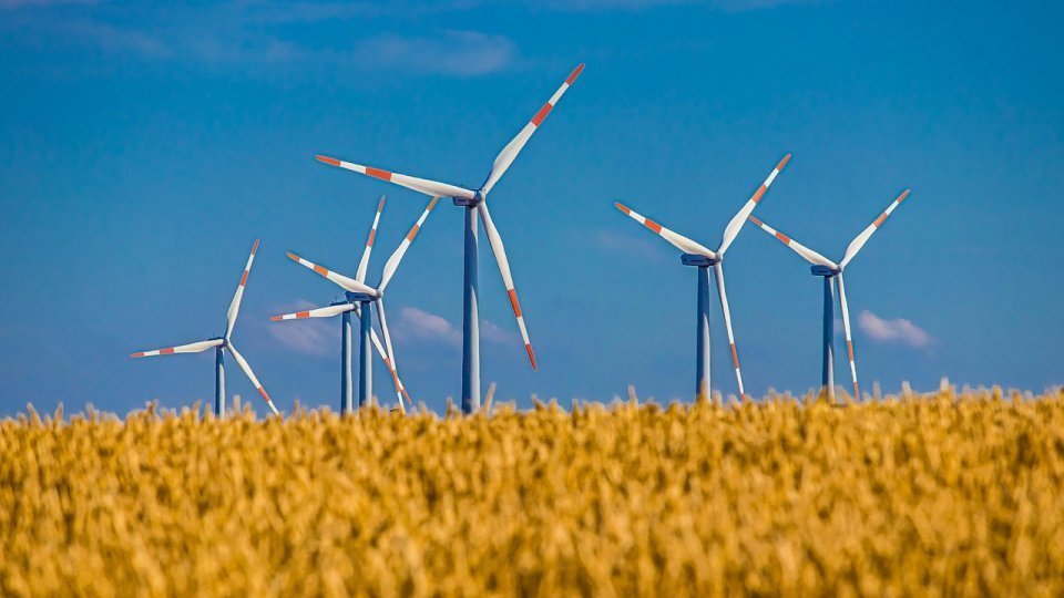 Licitație destinată producătorilor de energie verde