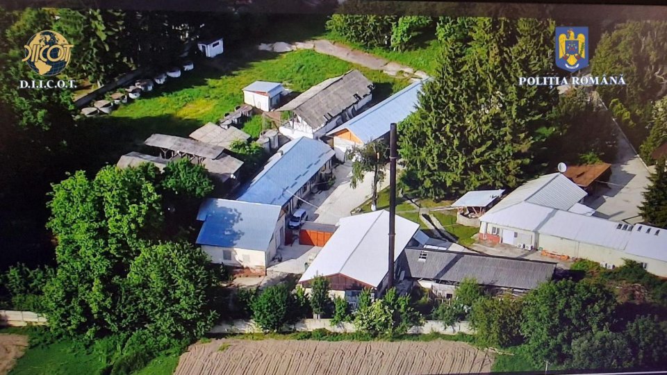 Tânăr arestat preventiv, în Timiş, pentru trafic de droguri