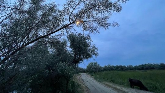 Exerciţii militare pe braţul Sfântu Gheorghe al Dunării