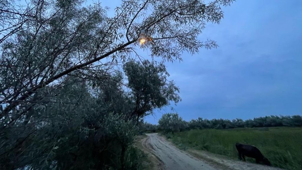 Exerciţii militare pe braţul Sfântu Gheorghe al Dunării