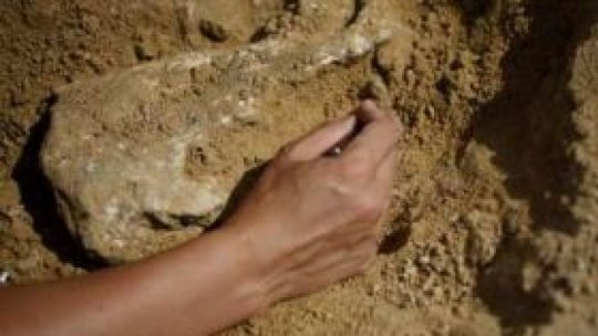 Muzeul de Geologie din Capitală continuă proiectul "Explorăm împreună la muzeu"