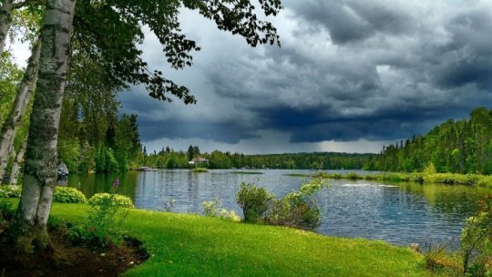 Legătura dintre modificările climatice şi riscul declanşării unei noi pandemii la nivel global