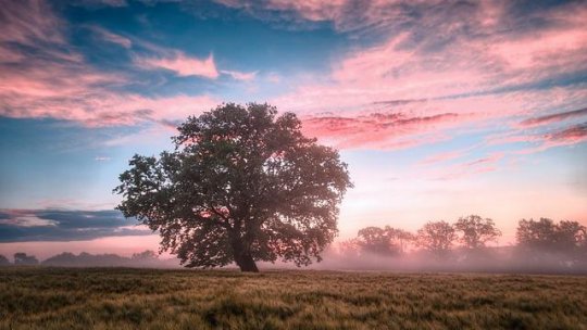 România trece la ora de iarnă