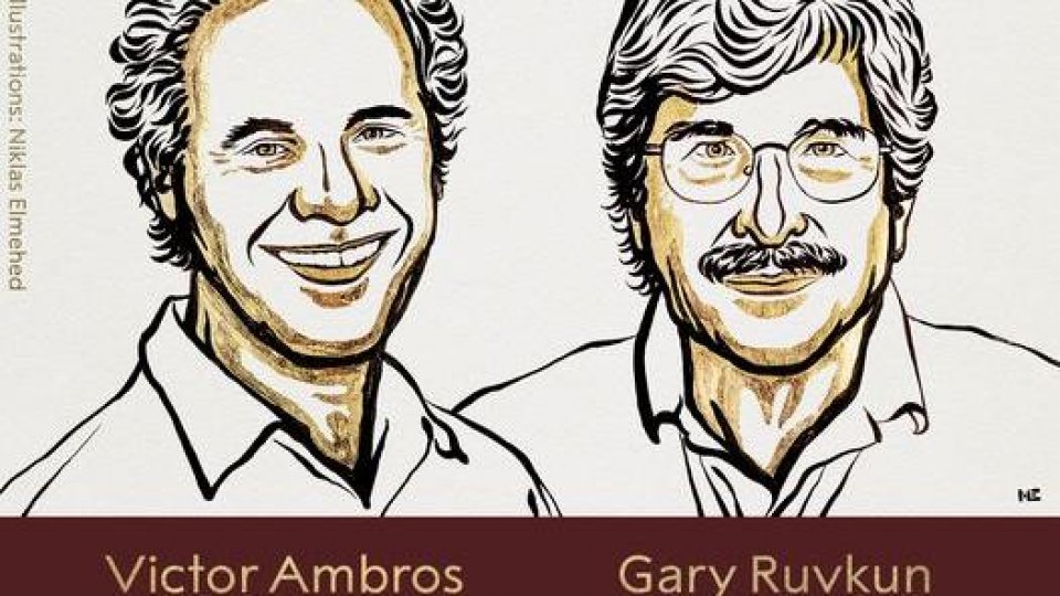 Premiul Nobel pentru medicină a fost acordat pentru descoperirea microARN-ului