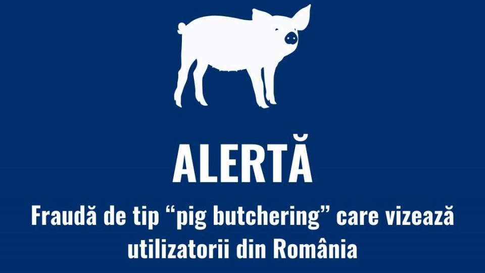 România se află pe locuri codaşe în Europa în ceea ce priveşte siguranța online și educația digitală