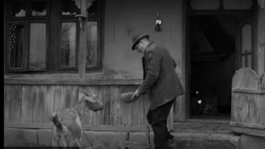 "Moromeţii 3" se lansează, vineri, în cinematografele din întreaga ţară