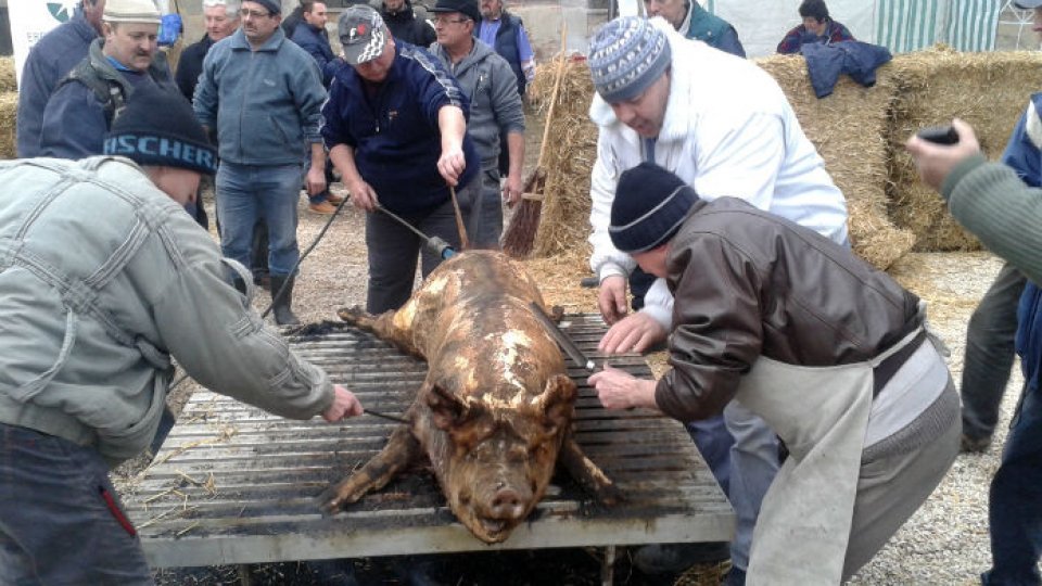 În Sălaj se dă startul preparării cărnii de porc