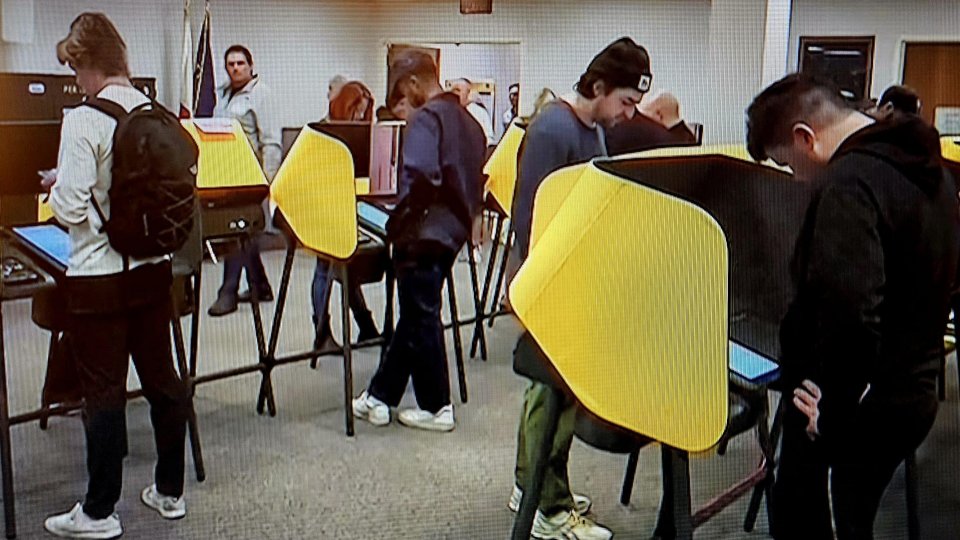 Peste 80 de milioane de americani au votat până acum