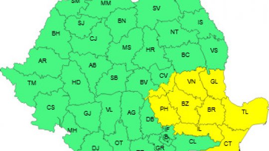 Cod galben de ninsori și viscol în cinci județe