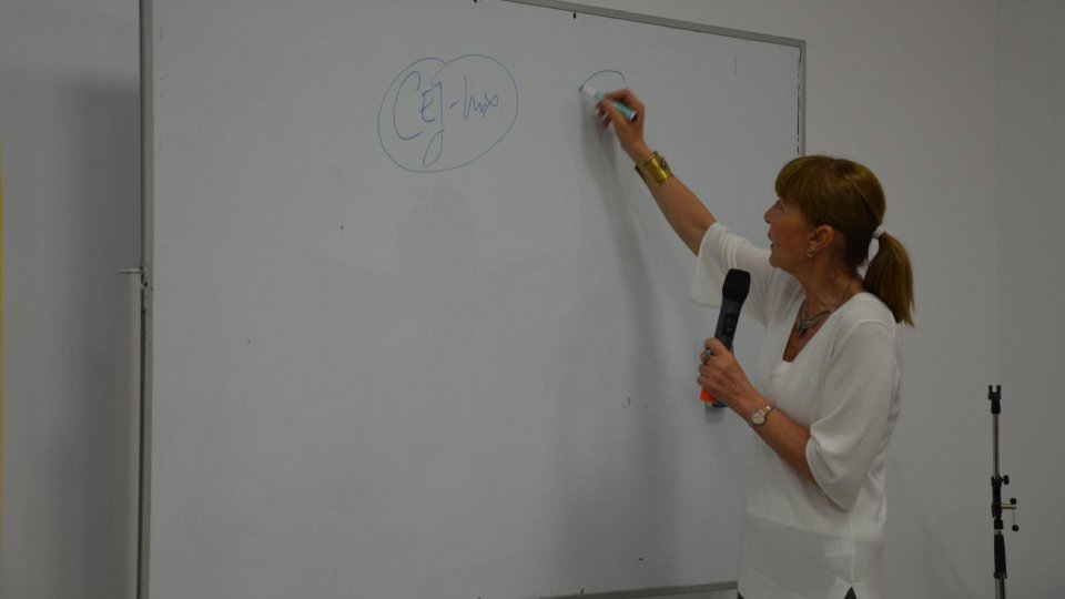 Monica Macovei a scăpat de condamnarea primită în primă instanță