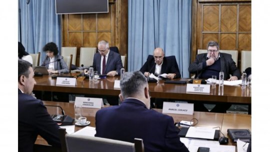 Guvernul urmează să reglementeze reducerea cheltuielilor din sectorul public în 2025