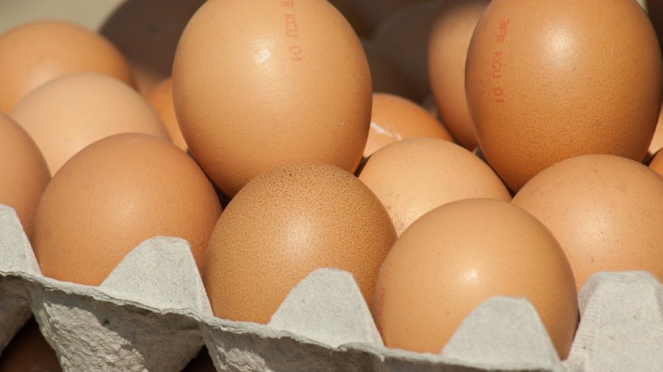 Sfârşitul de an a adus o criză a ouălor în România