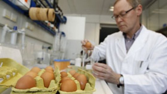 Un ou din perioada romană descoperit în Anglia conţine încă lichid