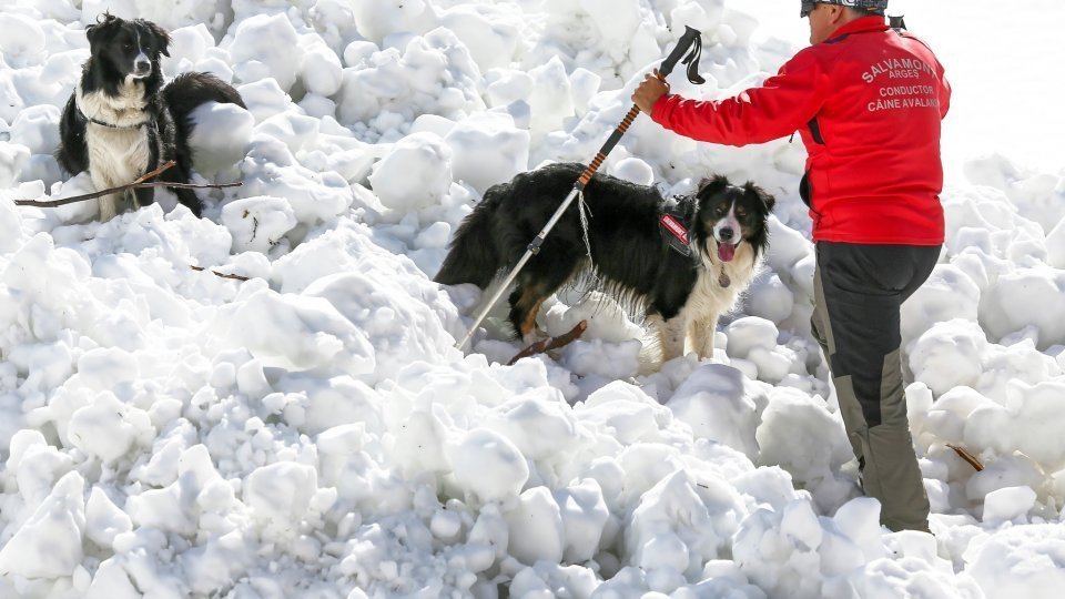 Ninsorile abundente din zonele montane măresc pericolul de producere de avalanşe