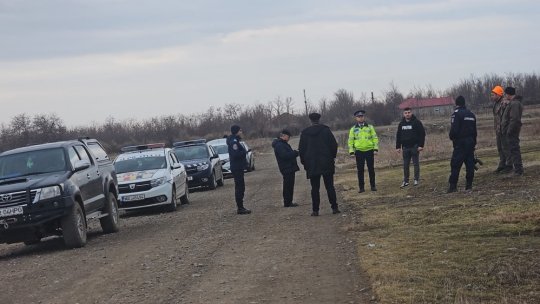 Mai mulți urși ar fi fost văzuți de un mecanic de locomotivă în Făurei, județul Brăila