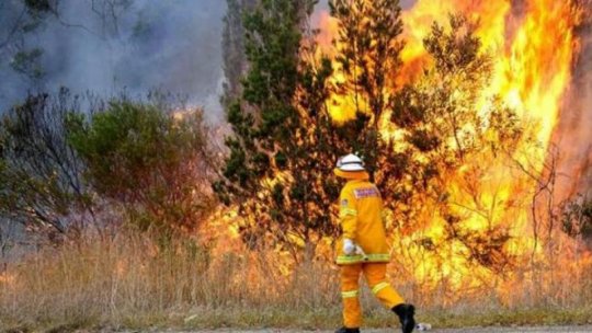 Incendiile din Chile au ucis până în prezent 112 persoane