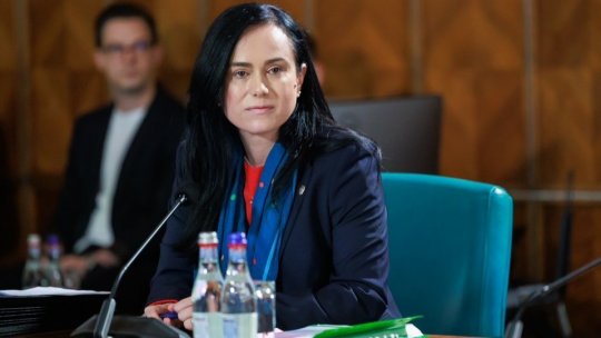 Ministrul muncii, Simona Bucura-Oprescu, a discutat cu reprezentanţii instituţiilor publice autofinanţate despre proiectul legii salarizării