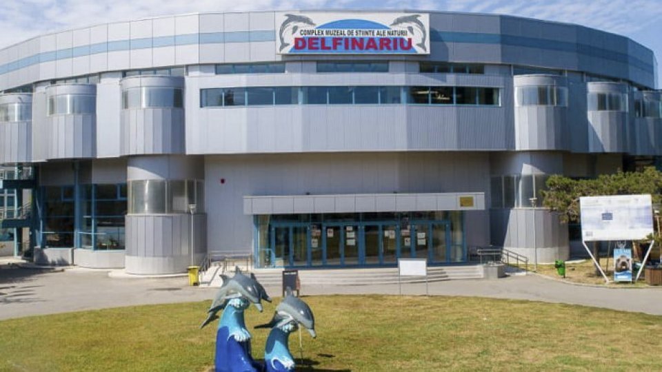 La Delfinariul din Constanţa s-a născut primul pui de delfin în captivitate din România
