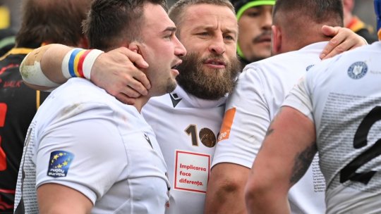 Stejari doborâți la Tbilisi