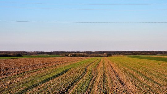 Fermierii români cer Comisiei Europene simplificarea și flexibilizarea politicii agricole comune