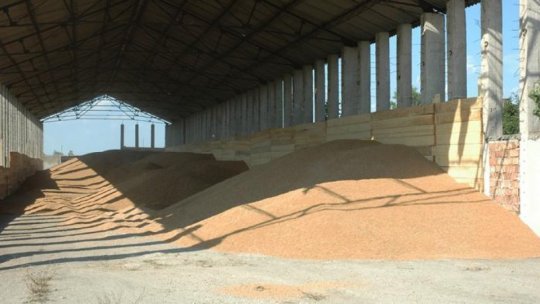 Producţia de cereale a României „s-a mărit”