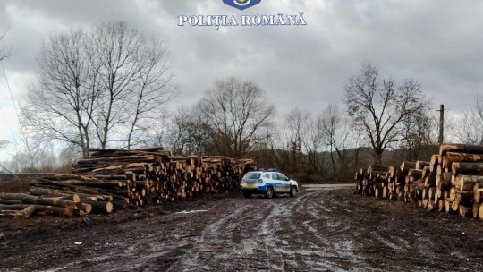Județul Arad: Acțiune pentru depistarea și prevenirea activităților ilegale din domeniul silvic