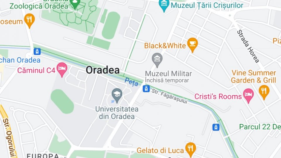 Peşti morţi descoperiţi într-un pârău care traversează Oradea