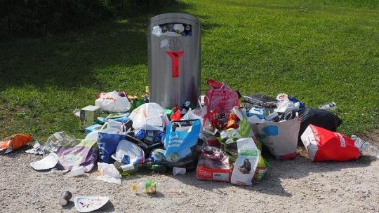 Două ample acţiuni de ecologizare, organizate în Bucureşti pe bază de voluntariat