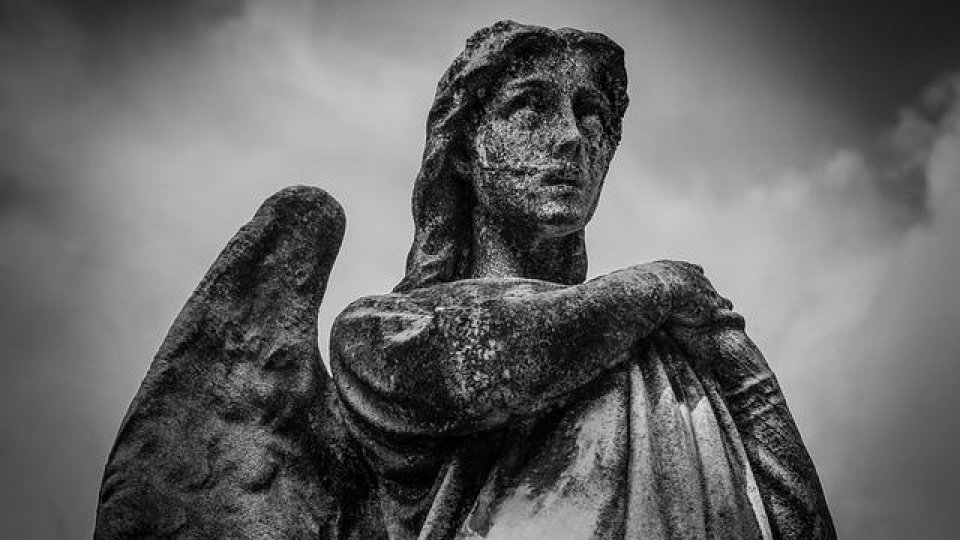 „Atins de înger”: Ediția 2024 a concursului de poezie „Lidia Vianu Translates”