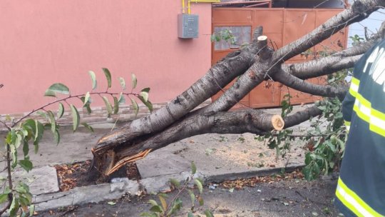 Efectele codului portocaliu de vânt încep să se vadă în judeţul Hunedoara
