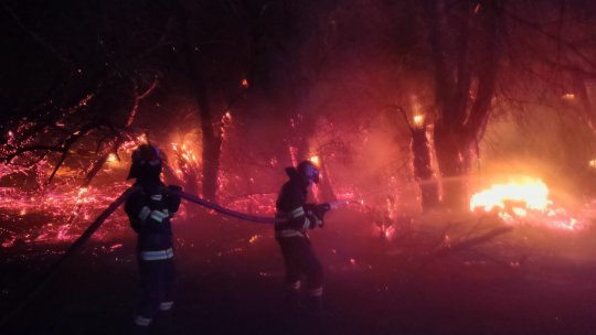 Județul Galați: Incendiu de proporții în pădurea Frumușița