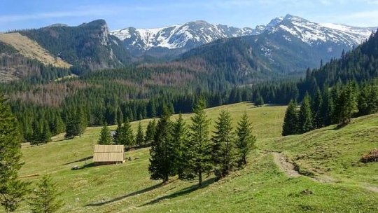 Accident mortal în zona ”Poiana cu Narcise” din Munții Rodnei