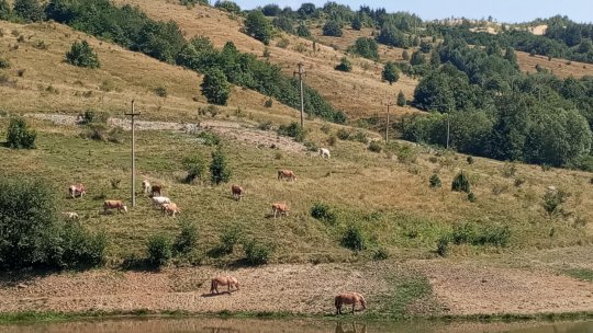 Astăzi este înființat Ecomuzeul Ţării Moţilor